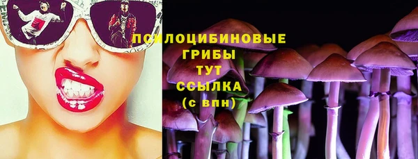 хмурый Абинск