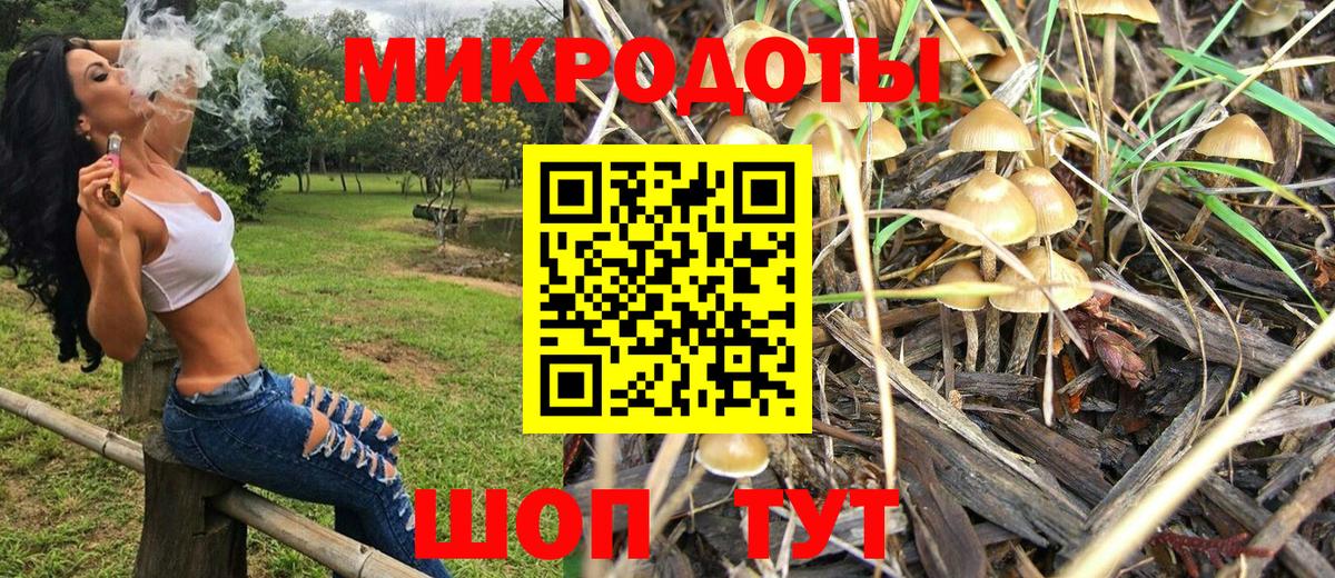 Галлюциногенные грибы прущие грибы Тюмень